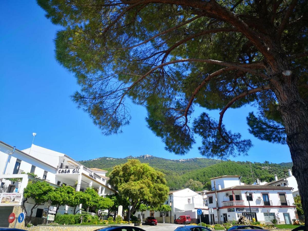 Pension Venta Julian Hca01134 El Bosque Kültér fotó